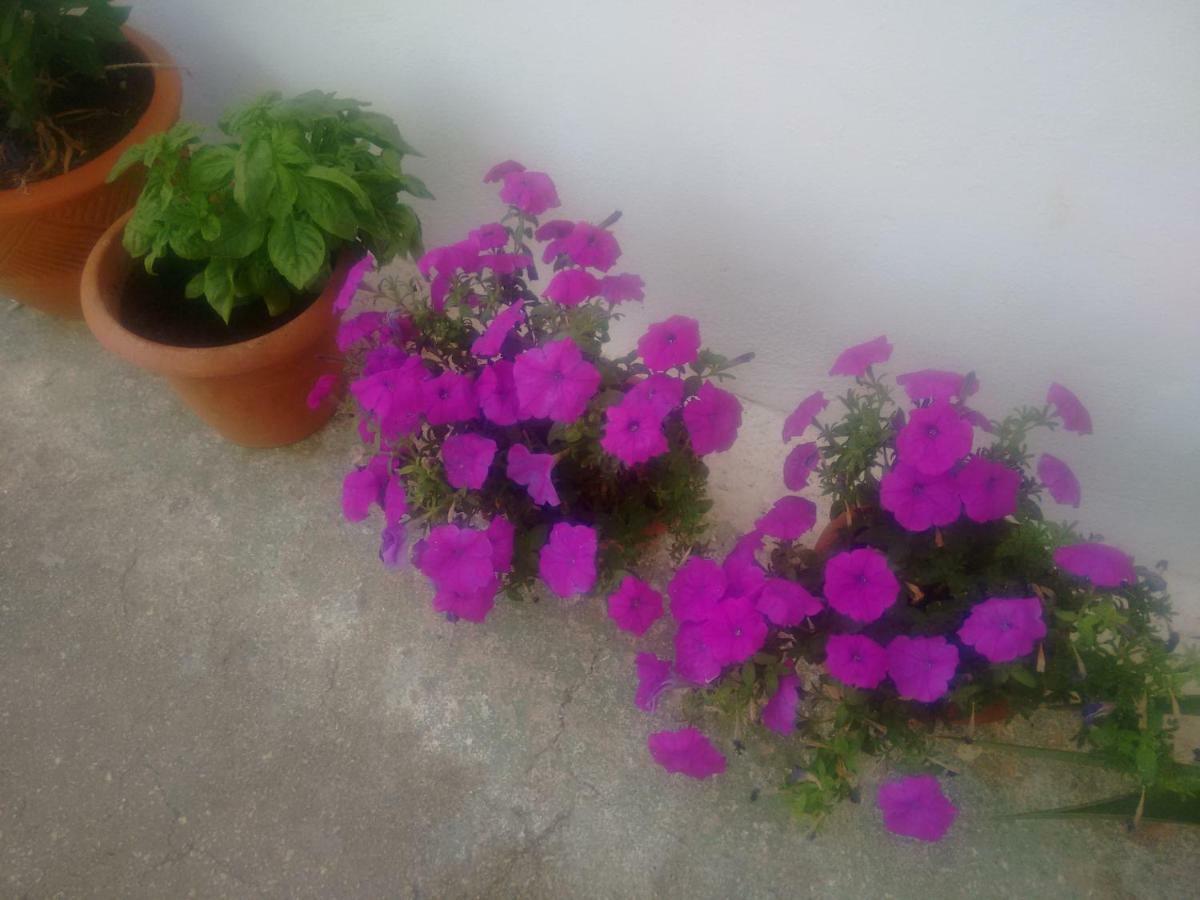 Fenicepugliese San Vito dei Normanni Bagian luar foto